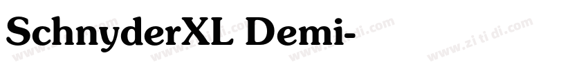 SchnyderXL Demi字体转换